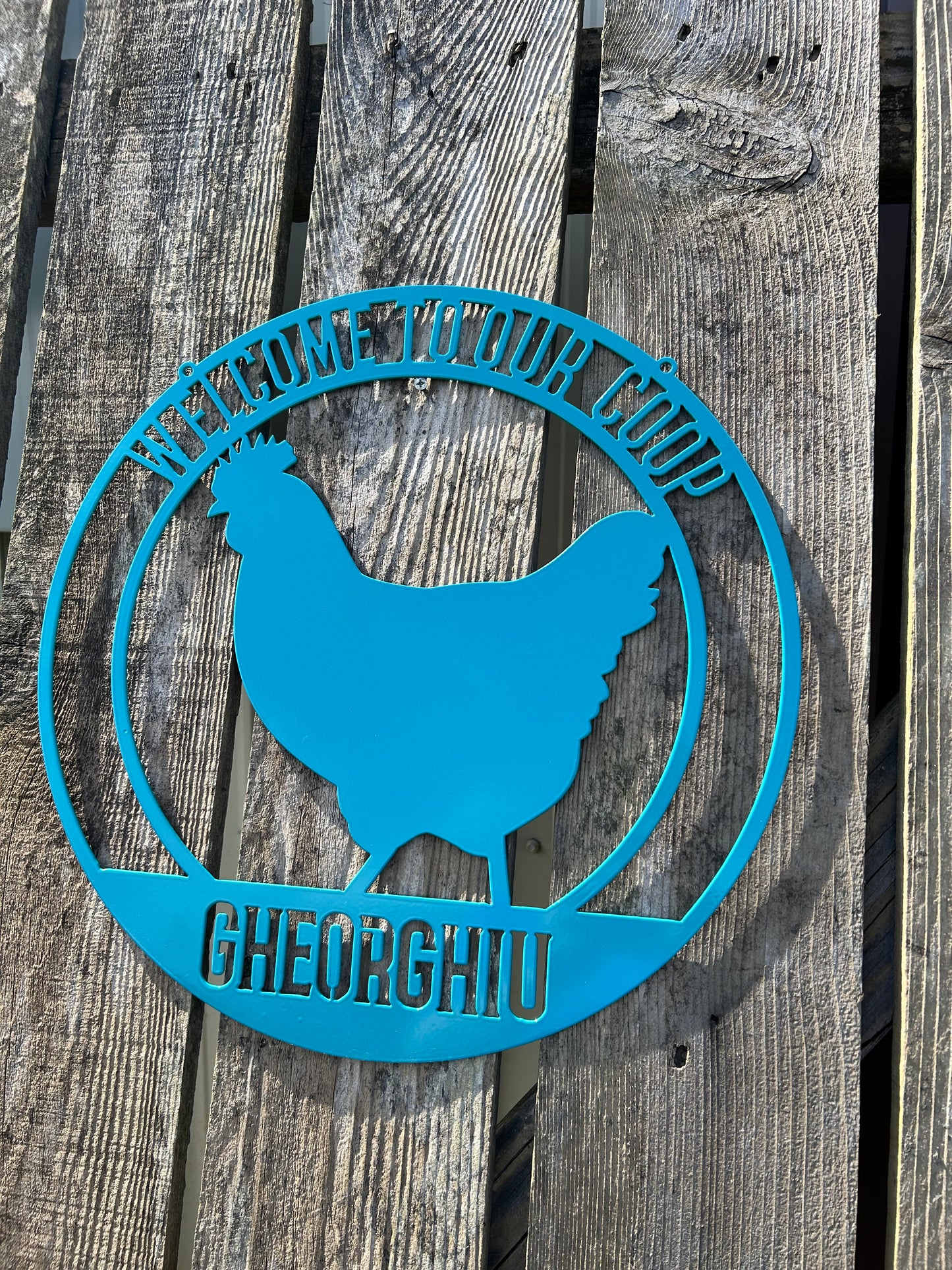 Personalized Chicken Coop Sign, Chicken Signs Metal, Hen House Sign, Custom Coop Sign, Metal Signs for Outdoors, Custom Metal Signs Farm