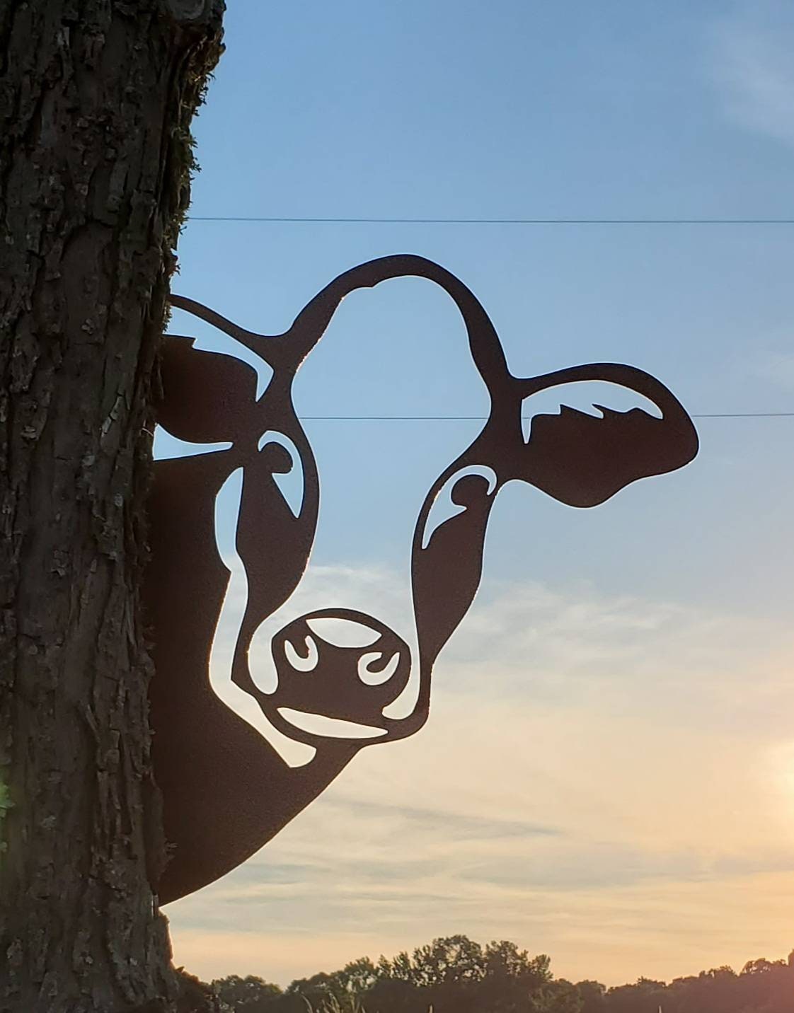Peek-A-Boo Metal Cow, Cow Garden Decor, Metal Cow Head, Peeping Cow, Cow Head, Cow Decor, Outdoor Cow Head, Metal Cow, Corner Cow, Cow