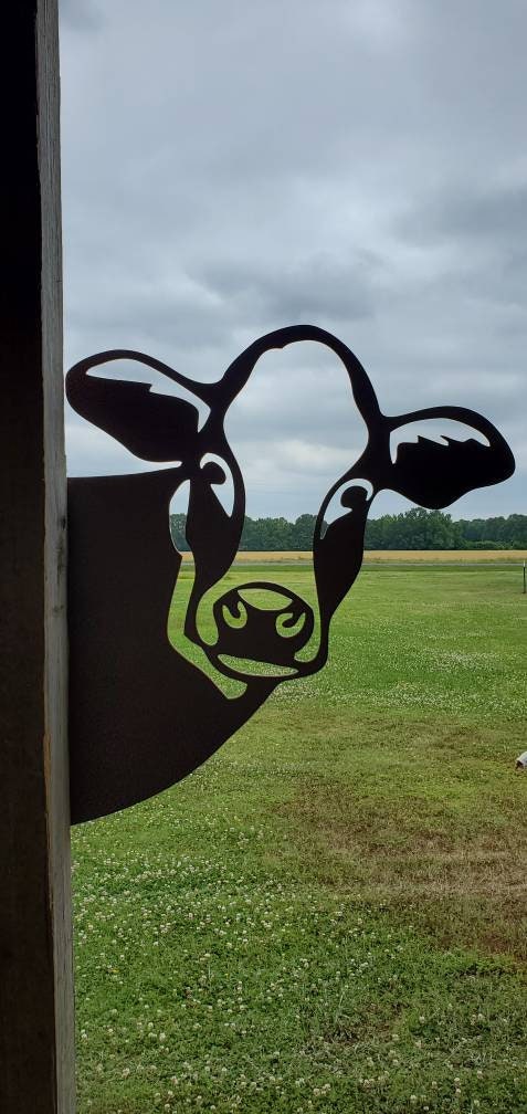 Peek-A-Boo Metal Cow, Cow Garden Decor, Metal Cow Head, Peeping Cow, Cow Head, Cow Decor, Outdoor Cow Head, Metal Cow, Corner Cow, Cow