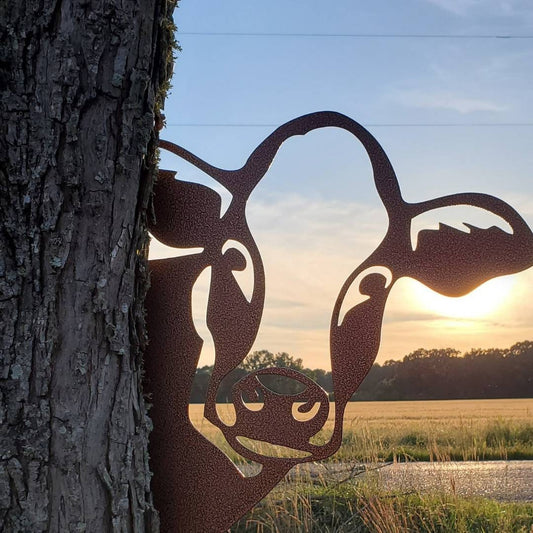 Metal Farm Animal that is a peeping cow that is hanging from tree.