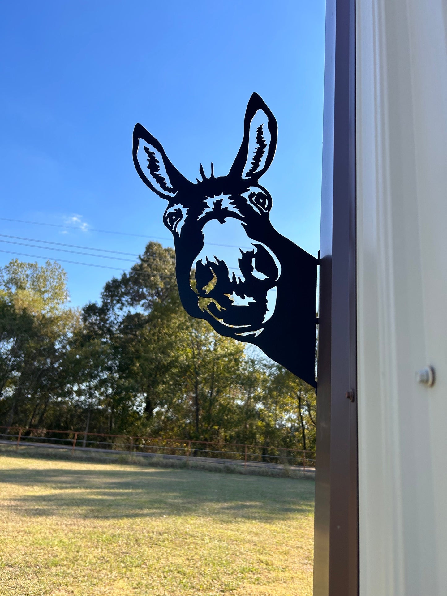 Peek-A-Boo Metal Donkey, Peeping Donkey, Farm Metal Sign, Farm Sign, Yard Art, Garden Decor, Metal Yard Art, Yard Ornament, Metal Sign, Gift