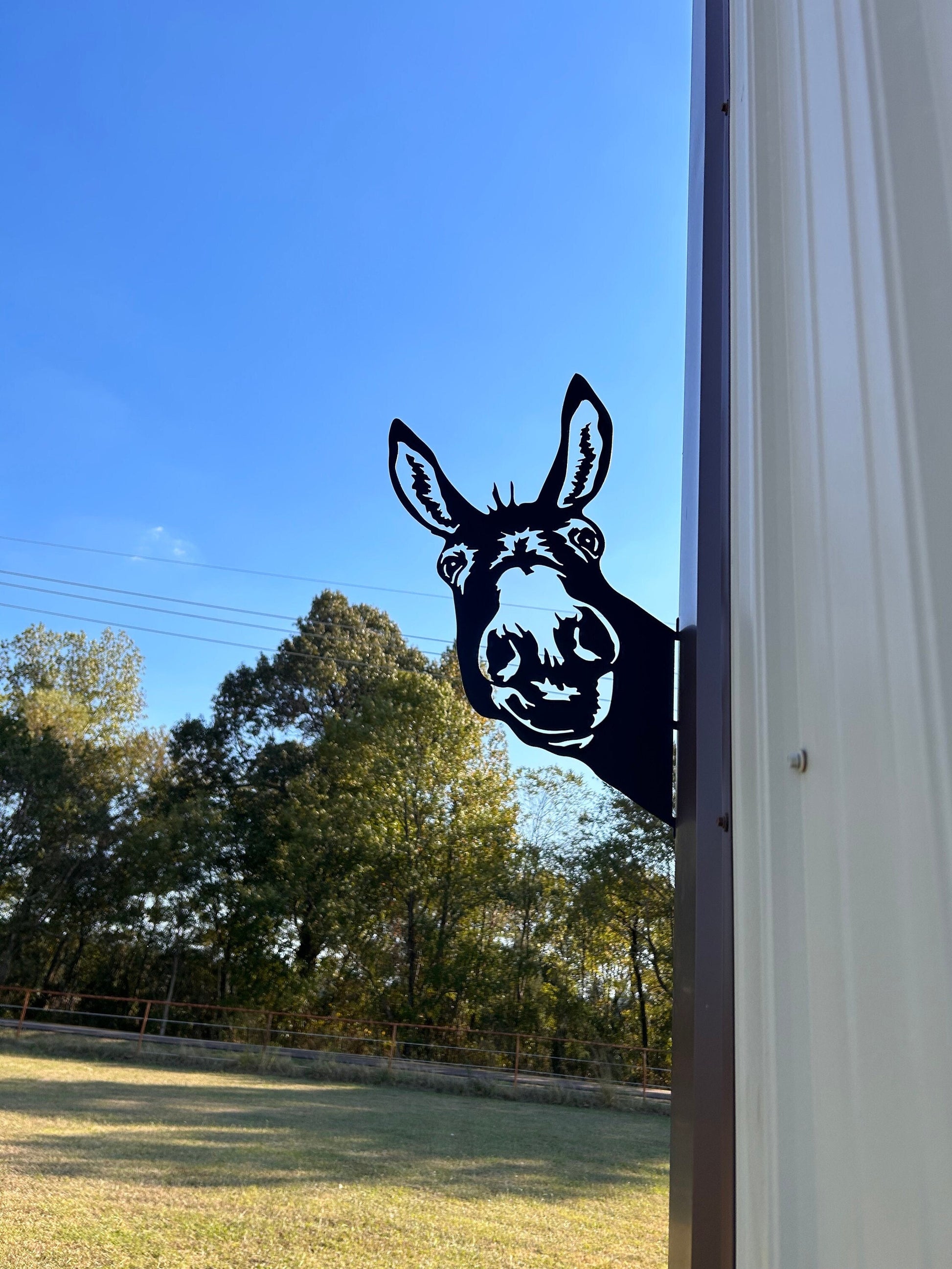 Peeping metal donkey to hang outside